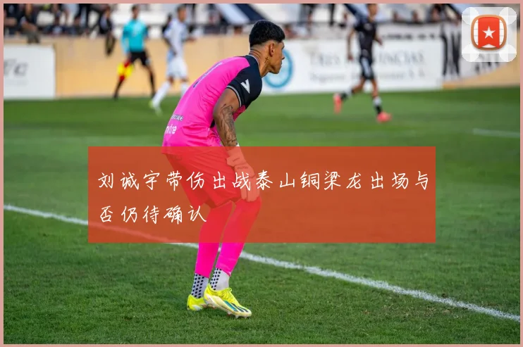 刘诚宇带伤出战泰山铜梁龙出场与否仍待确认